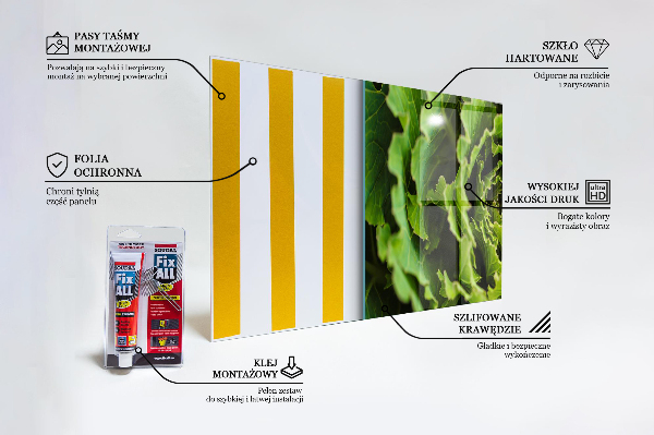 Paneles de vidrio para la cocina Hojas de flor de repollo