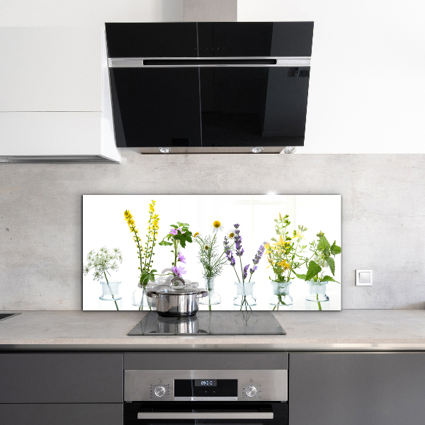 Paneles de vidrio para la cocina Salud de hierbas naturales