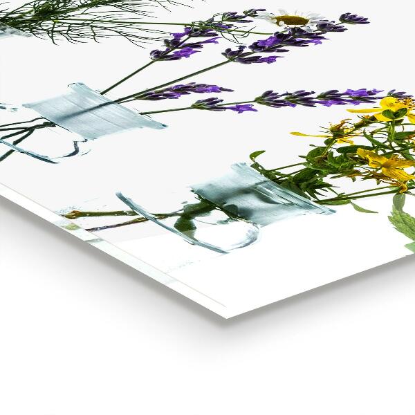 Paneles de vidrio para la cocina Salud de hierbas naturales