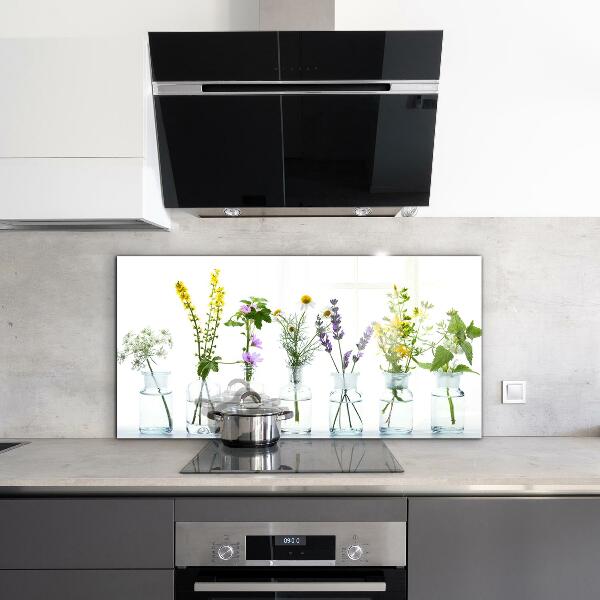 Paneles de vidrio para la cocina Salud de hierbas naturales