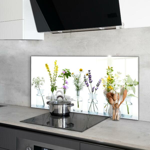 Paneles de vidrio para la cocina Salud de hierbas naturales