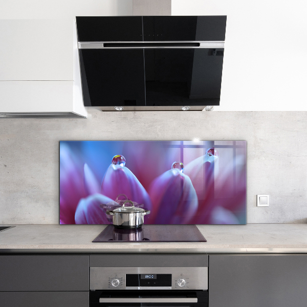 Paneles de vidrio para la cocina Gotas de rocío flor púrpura