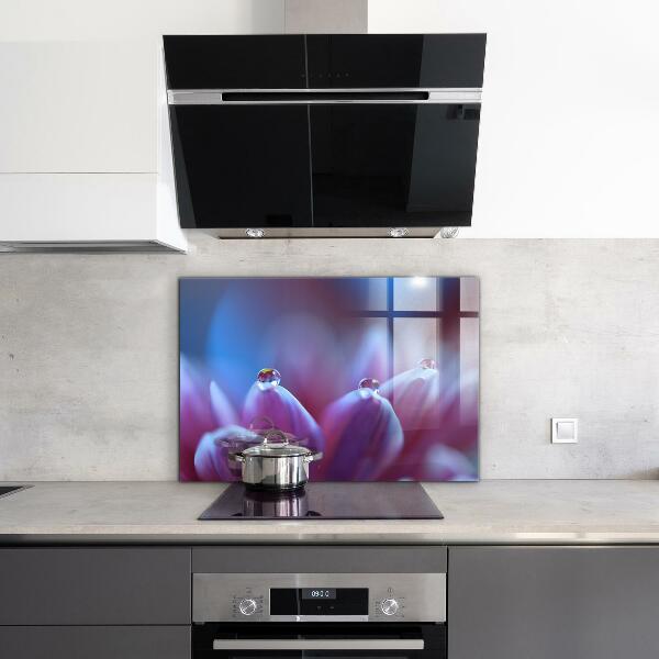 Paneles de vidrio para la cocina Gotas de rocío flor púrpura