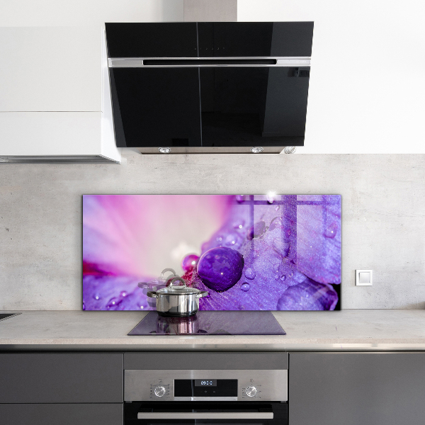 Paneles de vidrio para la cocina Flor morada con rocío de la mañana