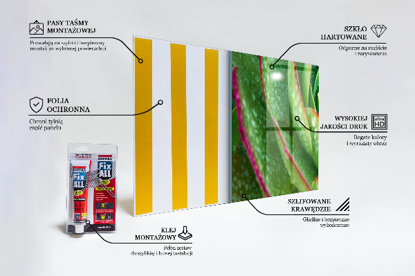 Paneles de vidrio para la cocina Jardín verde suculento skalnik