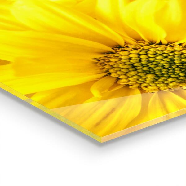 Paneles de vidrio para la cocina Flores amarillas de verano