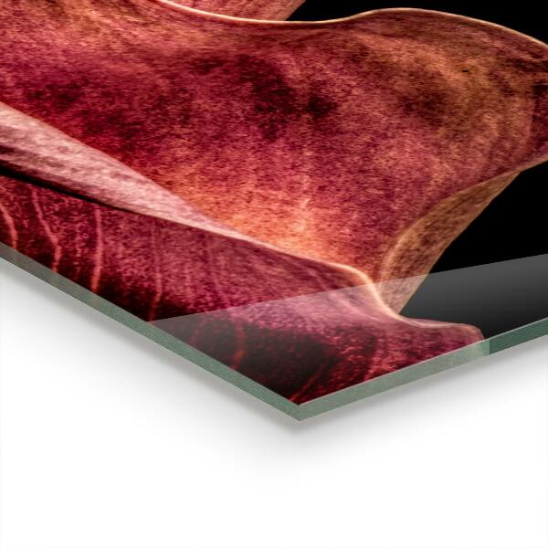 Paneles de vidrio para la cocina Hoja delicada elegante