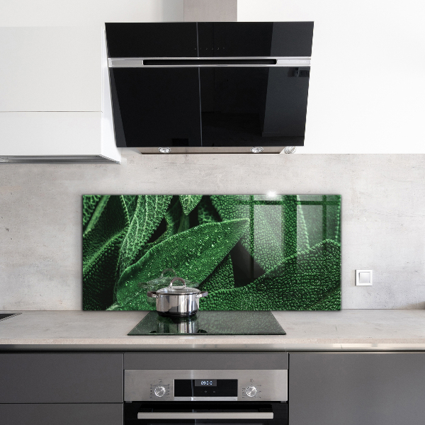 Paneles de vidrio para la cocina Hojas verdes después de la lluvia