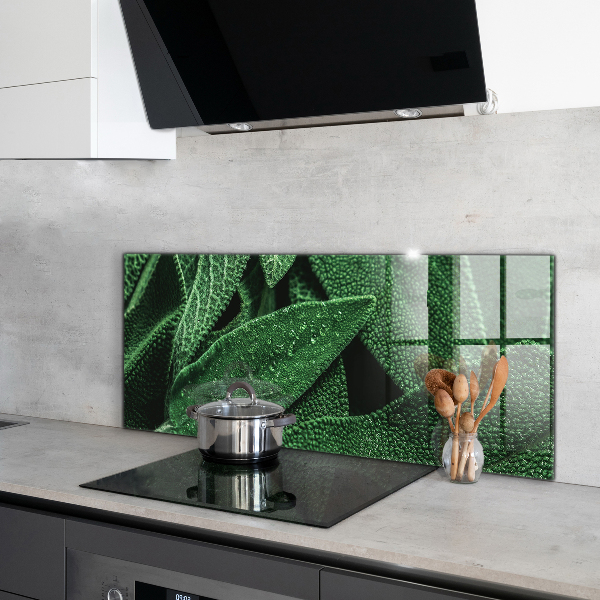 Paneles de vidrio para la cocina Hojas verdes después de la lluvia