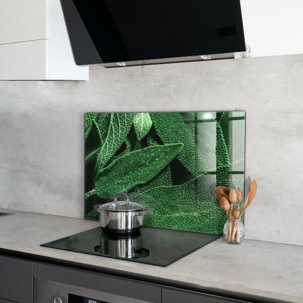 Paneles de vidrio para la cocina Hojas verdes después de la lluvia