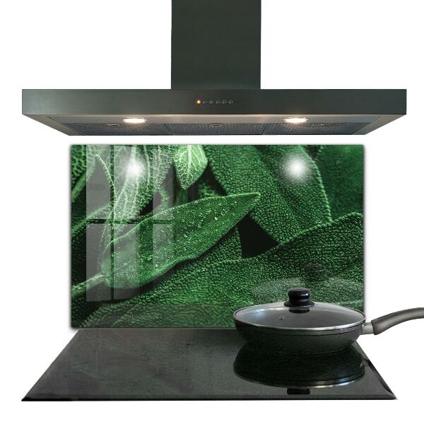 Paneles de vidrio para la cocina Hojas verdes después de la lluvia