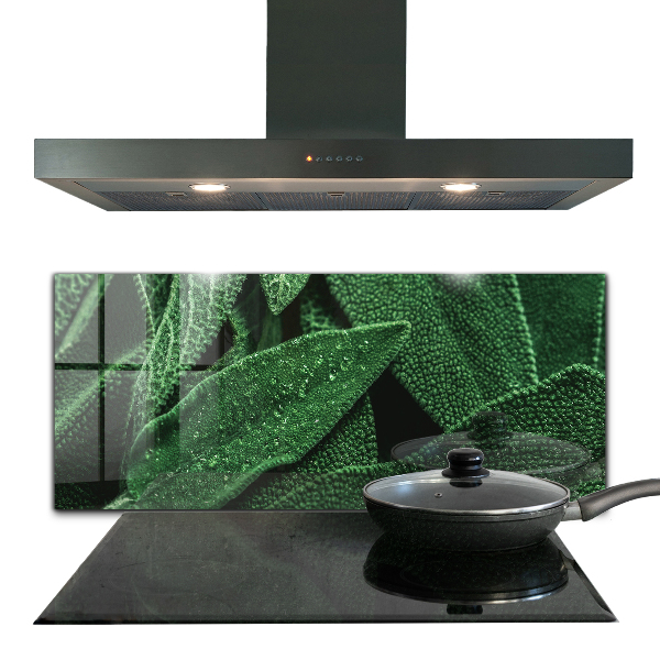 Paneles de vidrio para la cocina Hojas verdes después de la lluvia