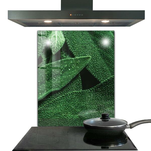 Paneles de vidrio para la cocina Hojas verdes después de la lluvia