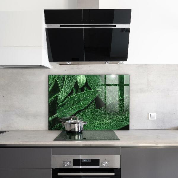 Paneles de vidrio para la cocina Hojas verdes después de la lluvia