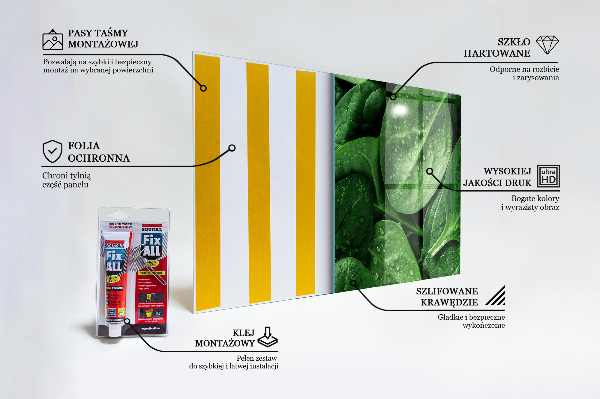 Paneles de vidrio para la cocina Hojas de espinacas salud