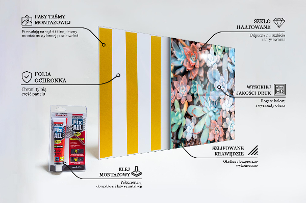 Paneles de vidrio para la cocina Suculentas coloridas