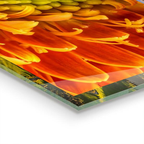 Paneles de vidrio para la cocina Gerbera flor naranja