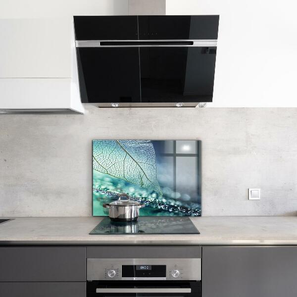 Paneles de vidrio para la cocina Textura de hoja delicada