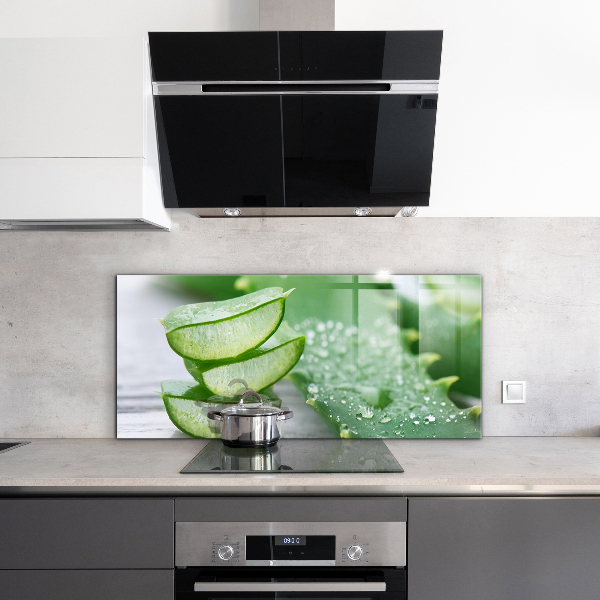 Paneles de vidrio para la cocina Planta de aloe vera