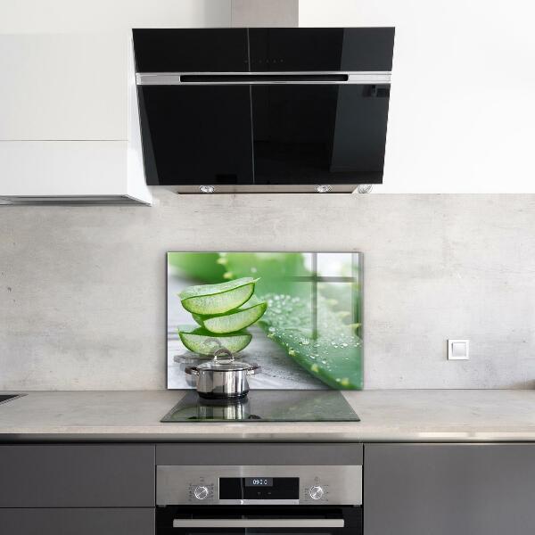 Paneles de vidrio para la cocina Planta de aloe vera