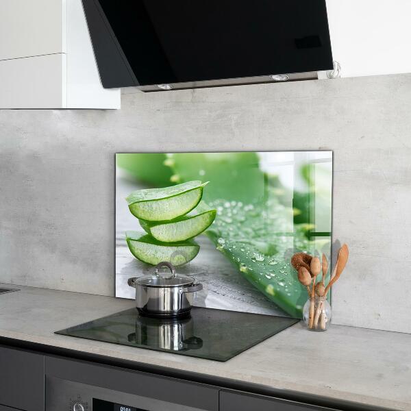 Paneles de vidrio para la cocina Planta de aloe vera