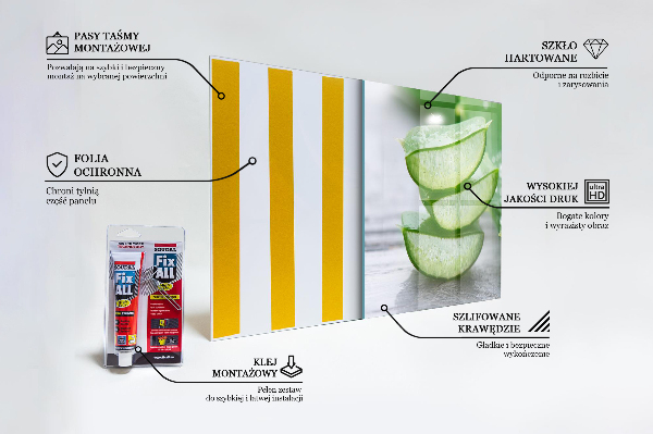 Paneles de vidrio para la cocina Planta de aloe vera