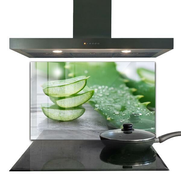 Paneles de vidrio para la cocina Planta de aloe vera