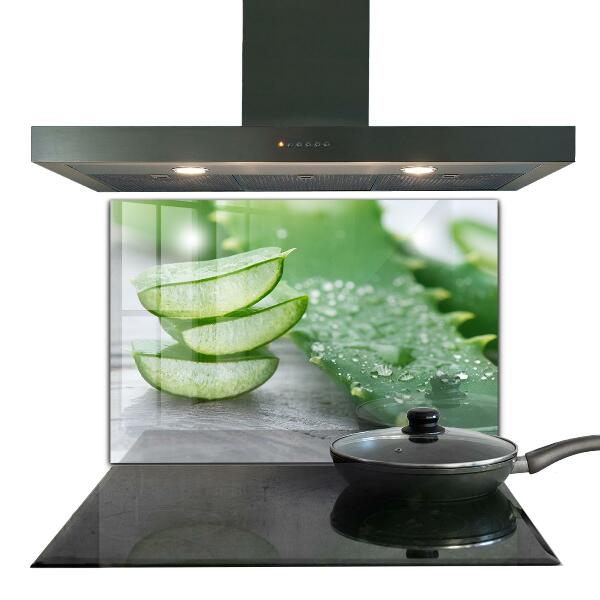 Paneles de vidrio para la cocina Planta de aloe vera
