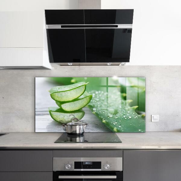 Paneles de vidrio para la cocina Planta de aloe vera