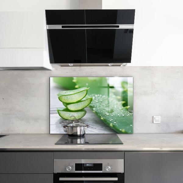 Paneles de vidrio para la cocina Planta de aloe vera