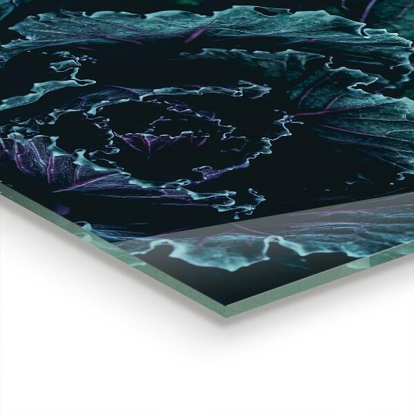 Paneles de vidrio para la cocina Hojas de col verde oscuro