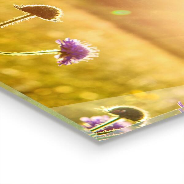 Paneles de vidrio para la cocina Pradera de flores de verano