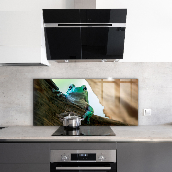 Paneles de pared Rana curiosa sobre una hoja