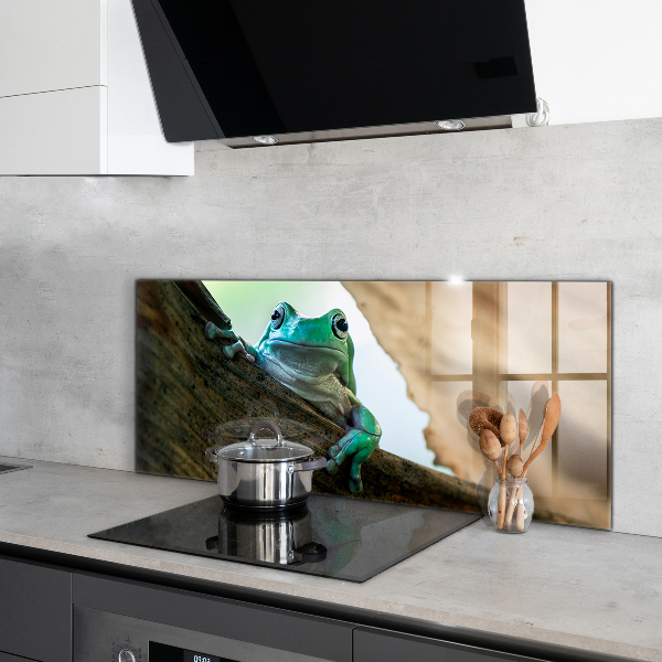 Paneles de pared Rana curiosa sobre una hoja