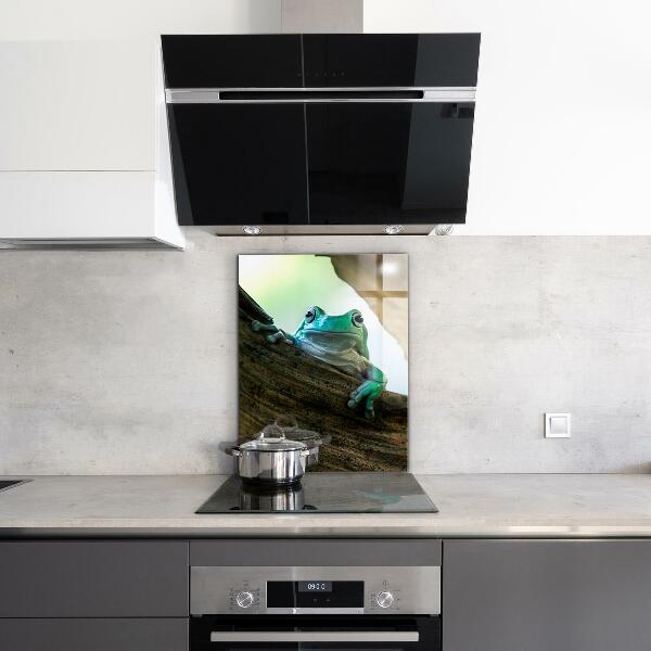 Paneles de pared Rana curiosa sobre una hoja