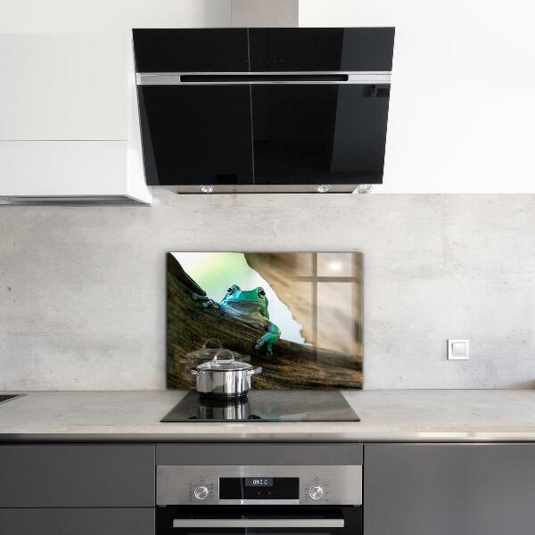 Paneles de pared Rana curiosa sobre una hoja