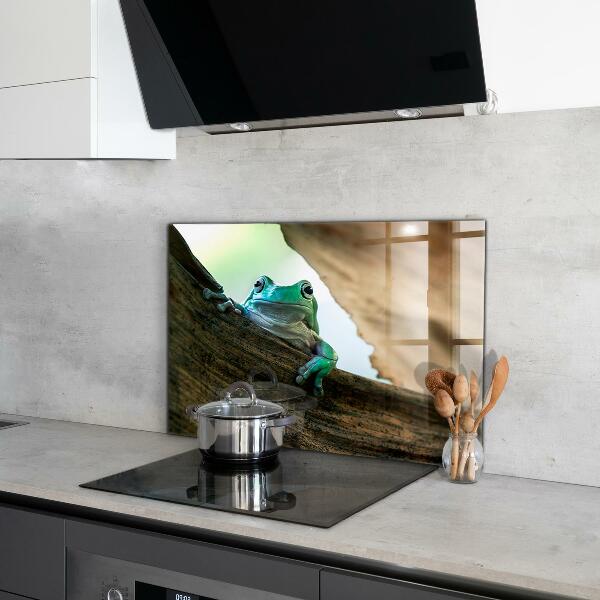 Paneles de pared Rana curiosa sobre una hoja