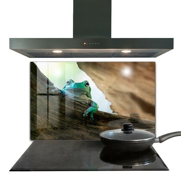 Paneles de pared Rana curiosa sobre una hoja