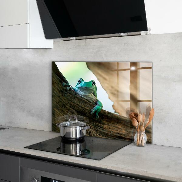 Paneles de pared Rana curiosa sobre una hoja