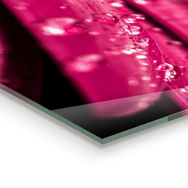 Paneles de vidrio para la cocina Flor rosa planta