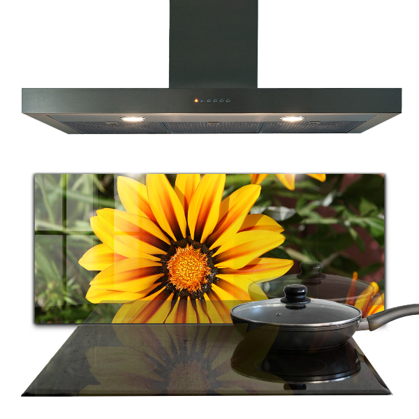 Paneles de vidrio para la cocina Flor amarilla en la pradera