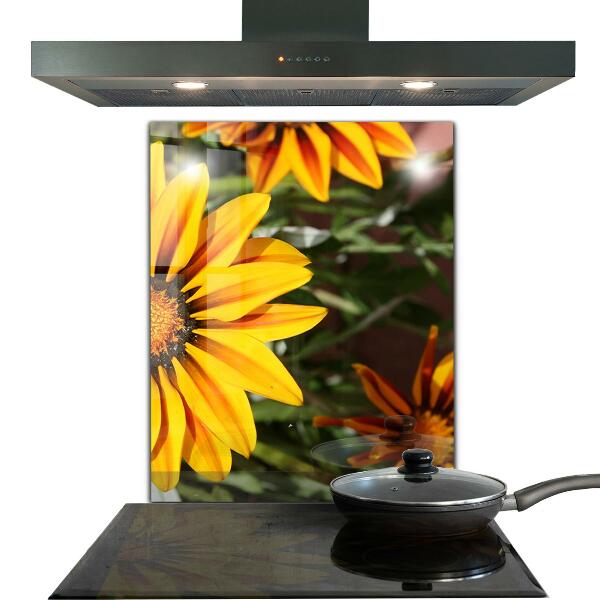 Paneles de vidrio para la cocina Flor amarilla en la pradera