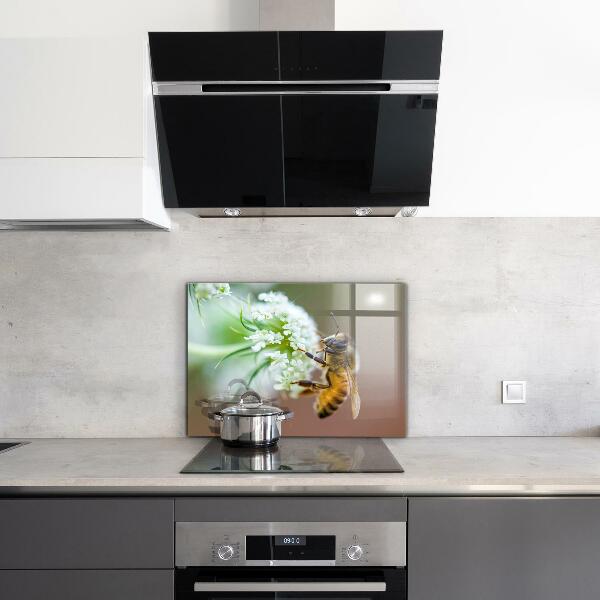 Paneles de pared Abeja recogiendo polen