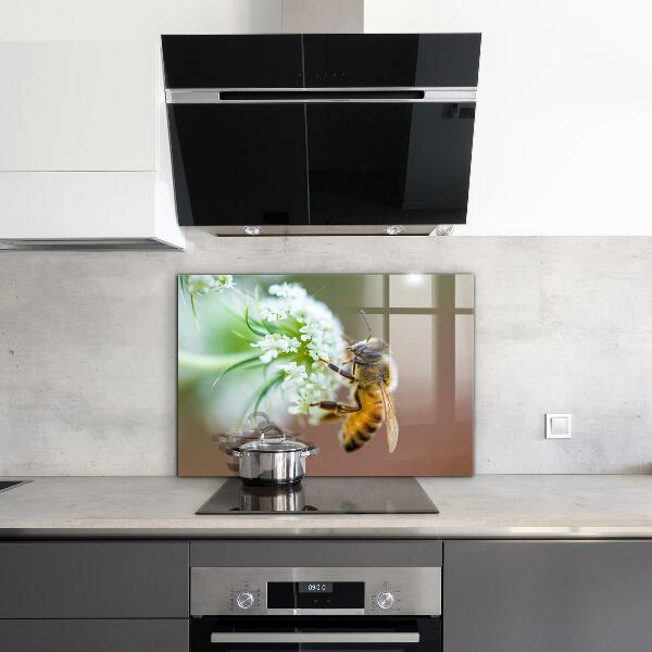 Paneles de pared Abeja recogiendo polen