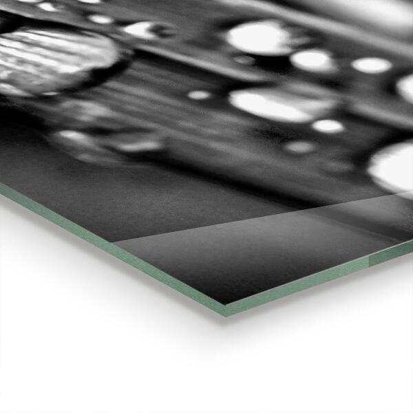 Paneles de vidrio para la cocina Hoja rosa blanco y negro