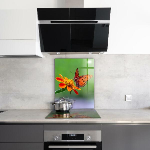 Paneles de pared Mariposa sobre una flor de verano