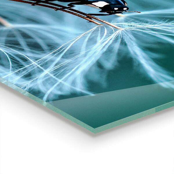 Paneles de pared Escarabajo rojo mariquita