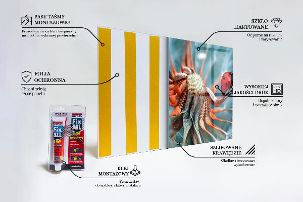 Paneles de pared Escarabajo rojo mariquita