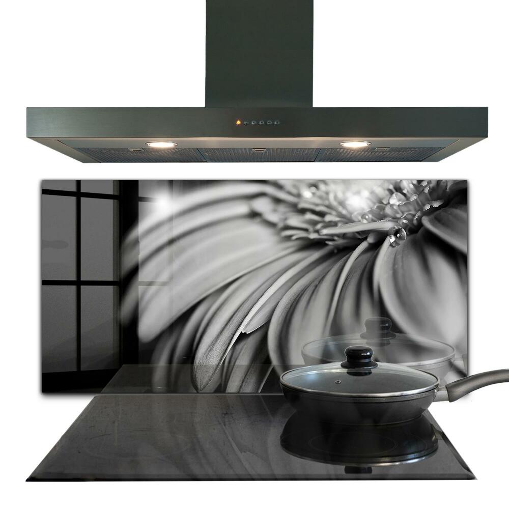 Paneles de vidrio para la cocina Foto en blanco y negro de gerber