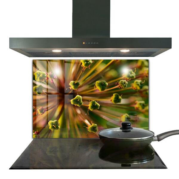 Paneles de vidrio para la cocina Fotografía macro de flores